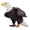 Safari Ltd&#xAE; Bald Eagle